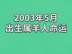 2003年5月出生属羊人命运(农历、爱情、事业运势解析)