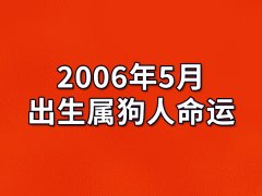 2006年5月出生属狗人命运(农历、爱情、事业运势解析)