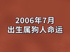 2006年7月出生属狗人命运