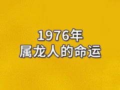 1976年属龙人的命运：一