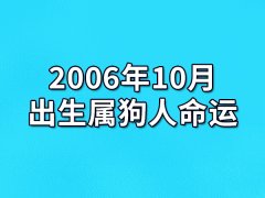 2006年10月出生属狗人命运