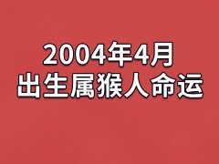 2004年4月出生属猴人命运(农历、爱情、事业运势解析)