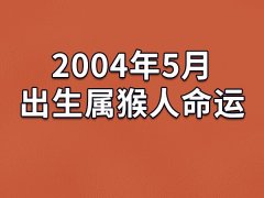 2004年5月出生属猴人命运