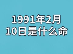 1991年2月10日是什么命(农历