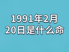 1991年2月20日是什么命(农历