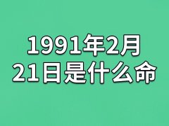 1991年2月21日是什么命(农历、爱情、事业运势解析)