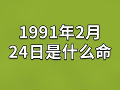 1991年2月24日是什么命(农历