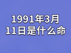 1991年3月11日是什么命(农历、爱情、事业运势解析)