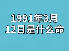 1991年3月12日是什么命(农历