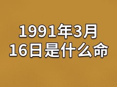 1991年3月16日是什么命(农历、爱情、事业运势解析)