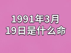 1991年3月19日是什么命(农历