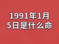 1991年1月5日是什么命(农历、爱情、事业运势解析)