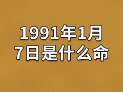 1991年1月7日是什么命(农历、爱情、事业运势解析)