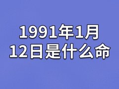 1991年1月12日是什么命(农历