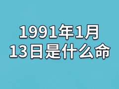 1991年1月13日是什么命(农历