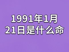 1991年1月21日是什么命(农历