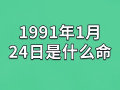 1991年1月24日是什么命(农历、爱情、事业运势解析)