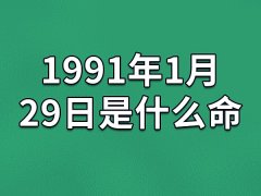 1991年1月29日是什么命(农历、爱情、事业运势解析)