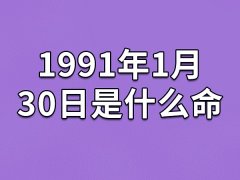 1991年1月30日是什么命(农历、爱情、事业运势解析)