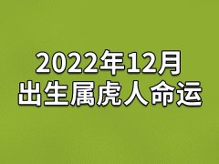 2022年12月出生属虎人命运