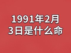 1991年2月3日是什么命(农历