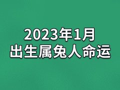 2023年1月出生属兔人命运(农历、爱情、事业运势解析)