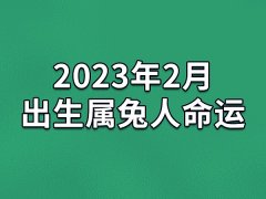 2023年2月出生属兔人命运(农历、爱情、事业运势解析)