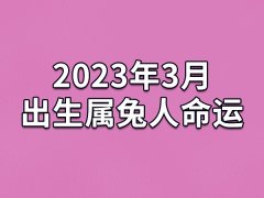 2023年3月出生属兔人命运(农历、爱情、事业运势解析)