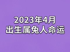 2023年4月出生属兔人命运(农历、爱情、事业运势解析)