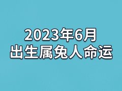 2023年6月出生属兔人命运(农历、爱情、事业运势解析)