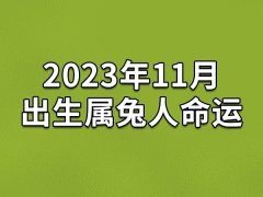 2023年11月出生属兔人命运(农历、爱情、事业运势解析)