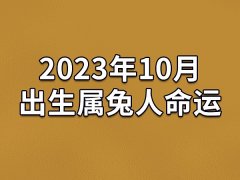 2023年10月出生属兔人命运(农历、爱情、事业运势解析)