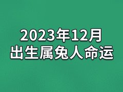 2023年12月出生属兔人命运(农历、爱情、事业运势解析)