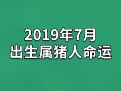 2019年7月出生属猪人命运