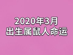 2020年3月出生属鼠人命运