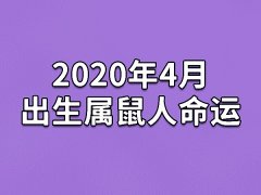 2020年4月出生属鼠人命运