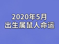 2020年5月出生属鼠人命运