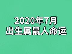 2020年7月出生属鼠人命运