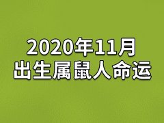 2020年11月出生属鼠人命运