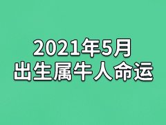 2021年5月出生属牛人命运