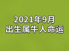 2021年9月出生属牛人命运