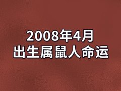 2008年4月出生属鼠人命运