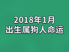 2018年1月出生属狗人命运