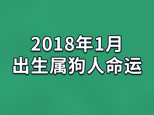 2018年1月出生属狗人命运