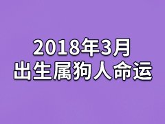 2018年3月出生属狗人命运(农历、爱情、事业运势解析)