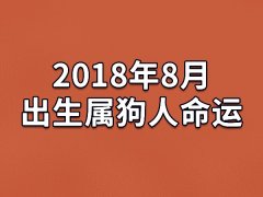 2018年8月出生属狗人命运