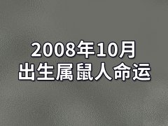 2008年10月出生属鼠人命运(农历、爱情、事业运势解析)