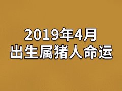 2019年4月出生属猪人命运