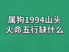 属狗1994山头火命五行缺什