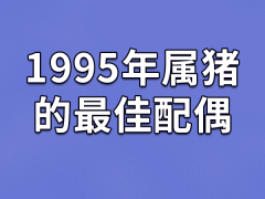 1995年属猪的最佳配偶：属